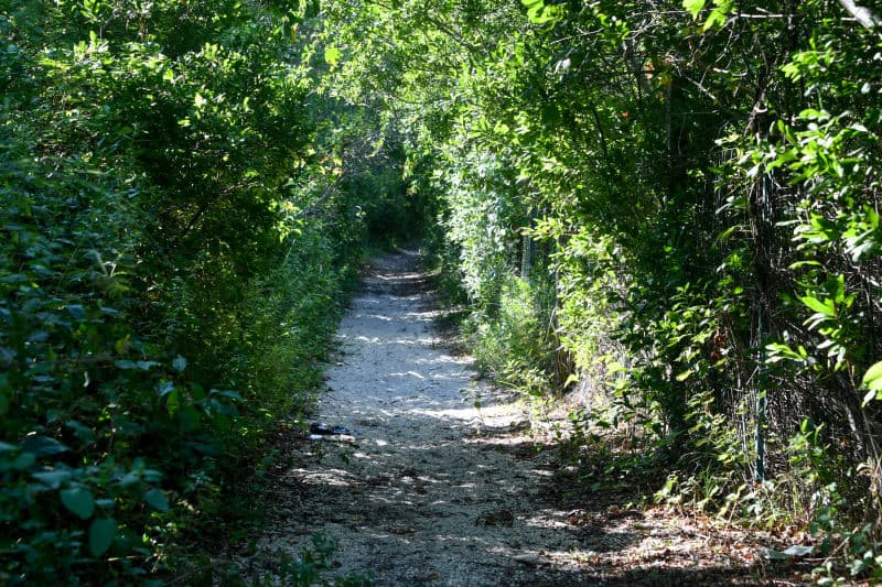 Bayswater Park tennis courts 2