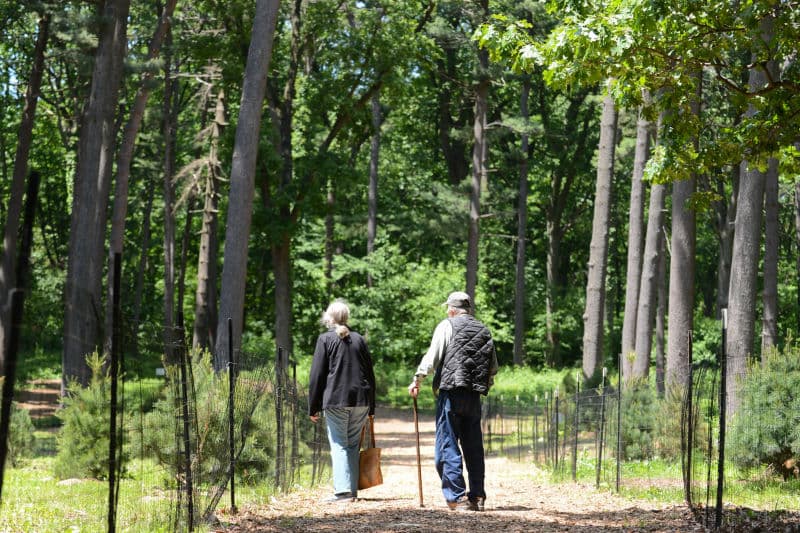 Forest Park tennis courts 2