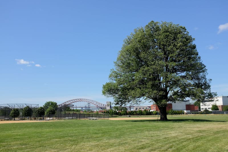 Sportime at Randall's Island tennis courts